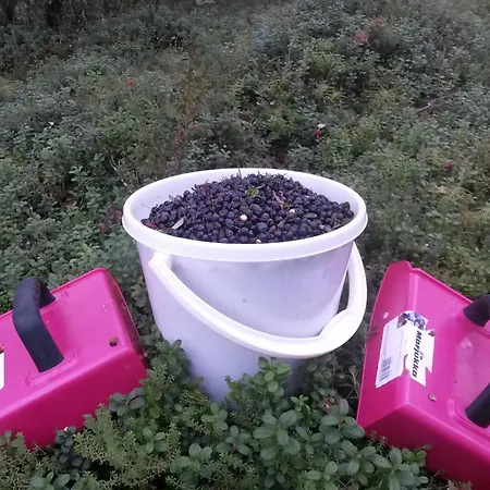 Appartement Tunturihuvila Ii *