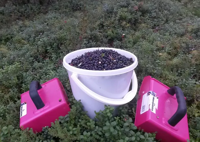 Lägenhet Tunturihuvila Ii *